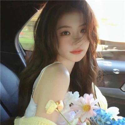 护花大臣